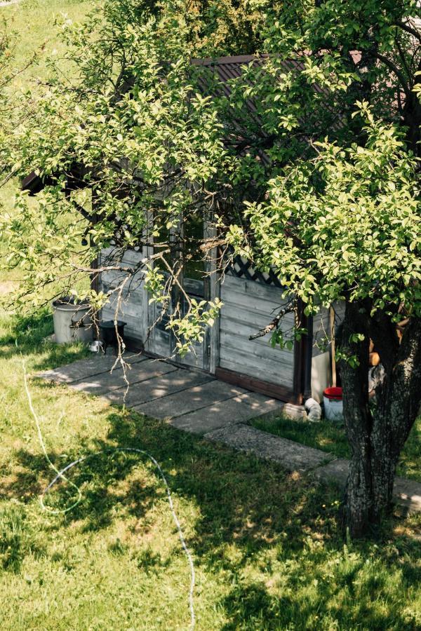 Apartamenty Madzia ヴィスワ エクステリア 写真