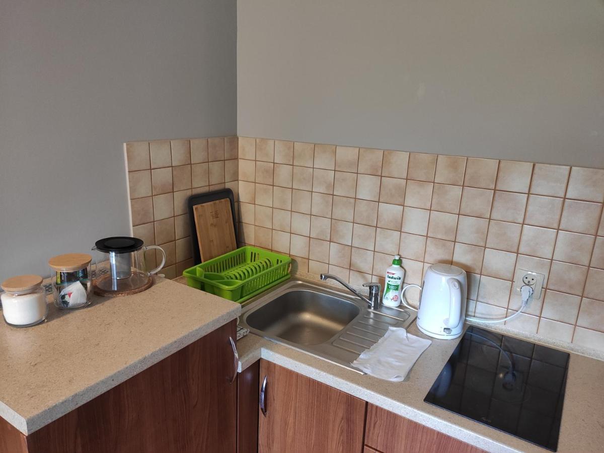 Apartamenty Madzia ヴィスワ エクステリア 写真