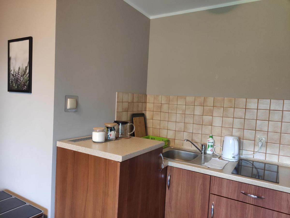 Apartamenty Madzia ヴィスワ エクステリア 写真